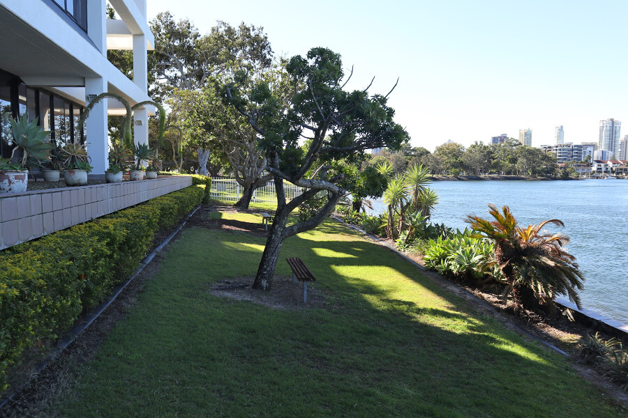 Real Estate lawn services Gold Coast