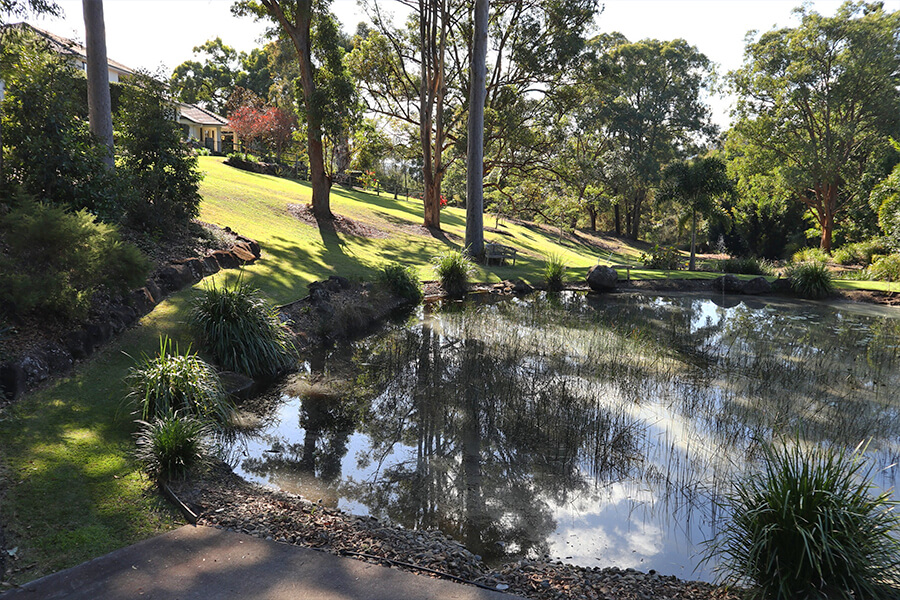 Landscaped garden Gold Coast